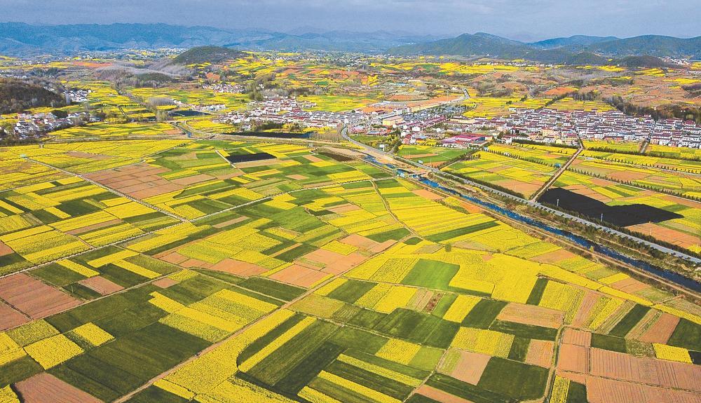 陕西省汉中市洋县逐渐走出了一条依托优越生态环境发展有机产业的