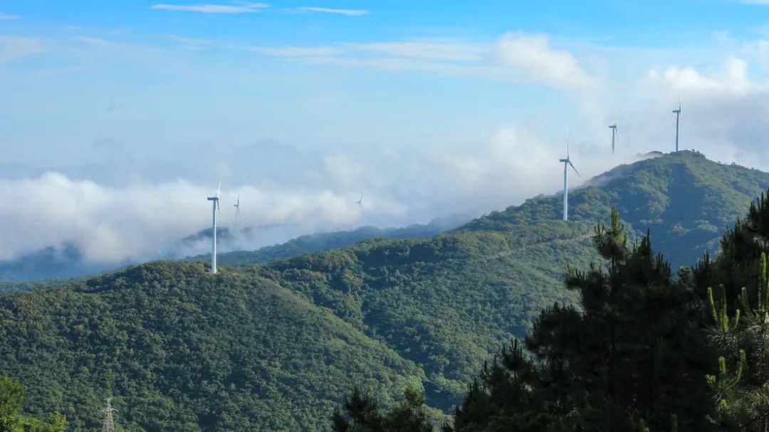 东平风车山公园&nbsp;陈达洲摄