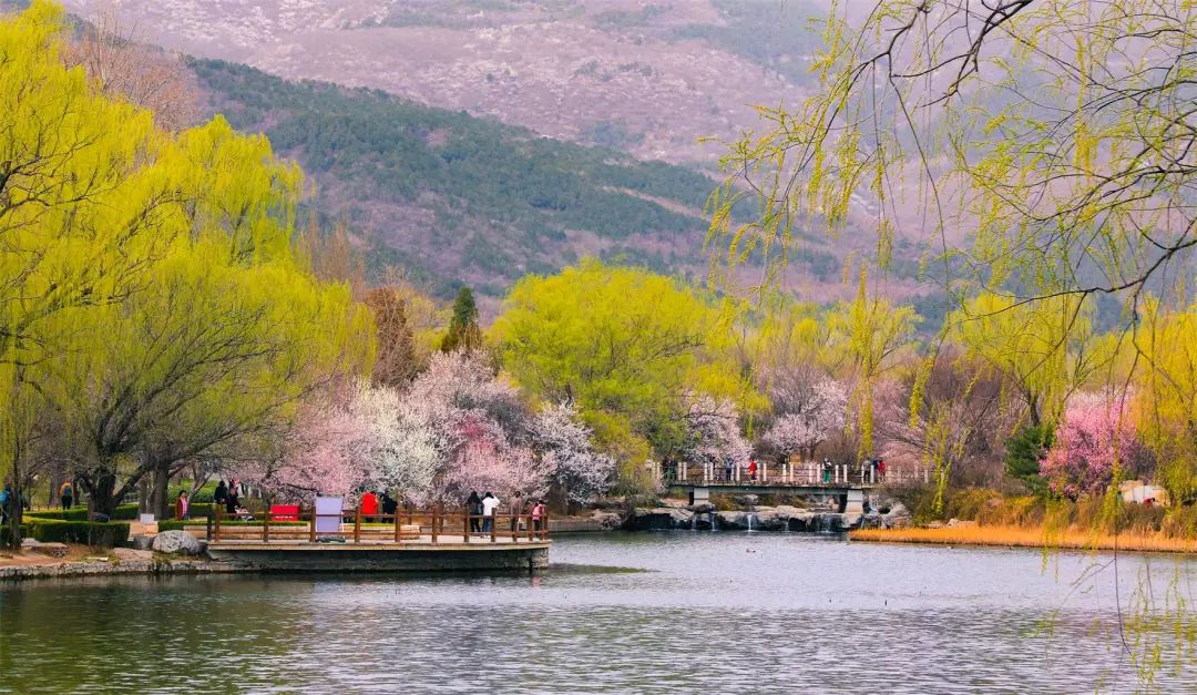 这些公园春景正盛|北京市_新浪财经_新浪网