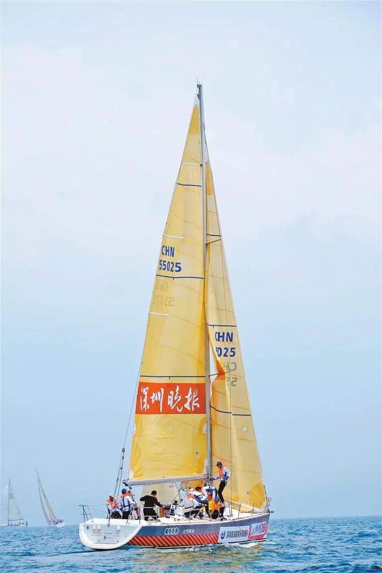 "深圳晚报号"第六次出战中国杯帆船赛.深圳晚报记者 宁杰文 摄