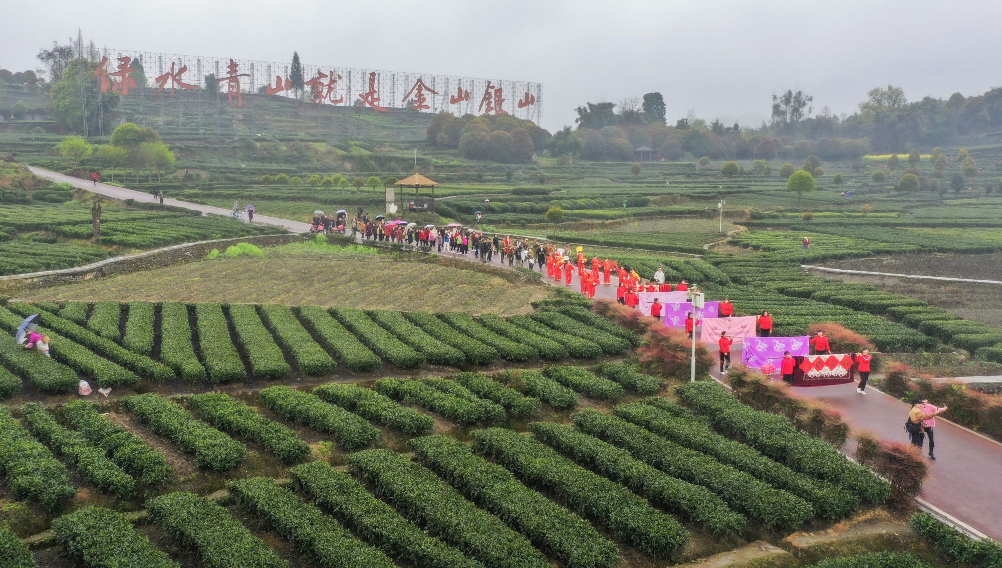 2023成都（邛崃）采茶季暨邛崃黑茶文化旅游节将于3月28日在邛崃夹关开幕