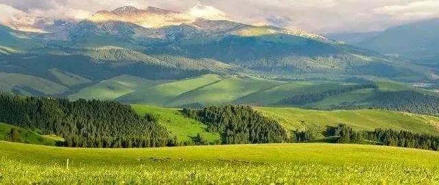 【知识分享】什么是耕地？什么是林地？什么是草地？-耕地林地草地属于什么