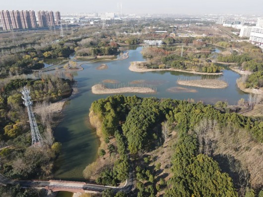 金海湿地公园迎来优雅新"住户"_新浪财经_新浪网