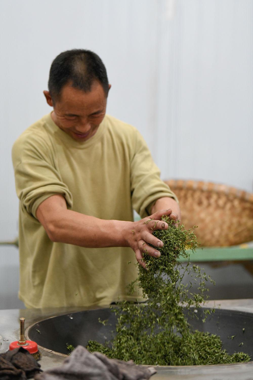 新店镇茶叶集中加工园区一车间内,工人在制茶.新华社记者 胥冰洁 摄