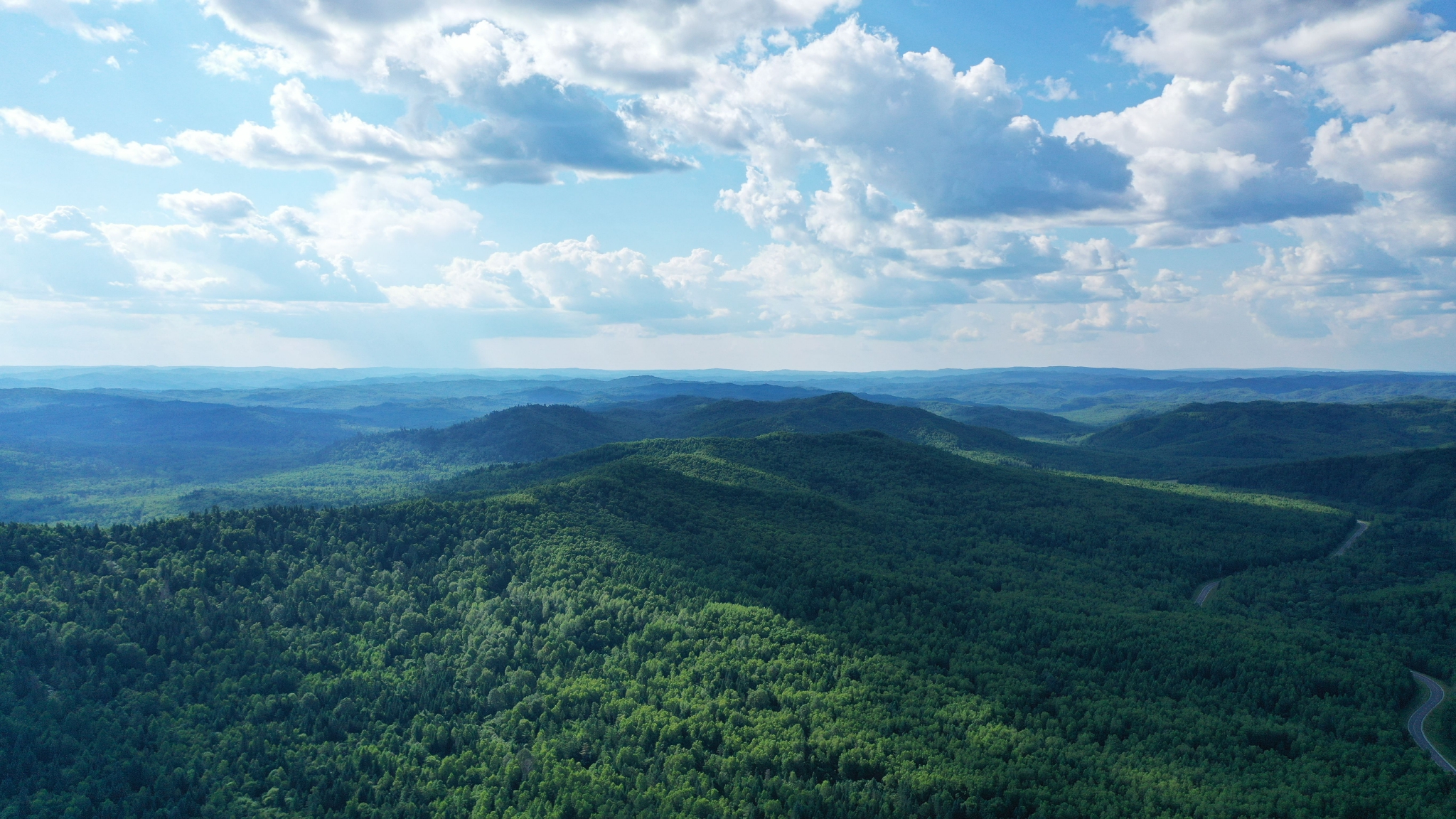 黑龙江广袤森林资源&nbsp