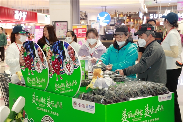 　　高品质的南非提子受到消费者青睐