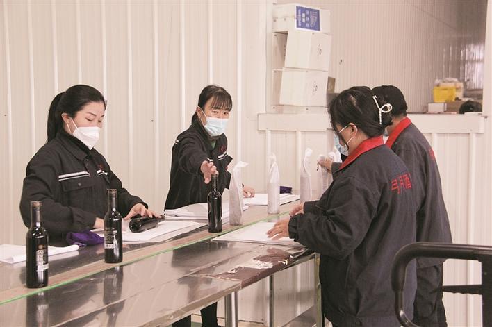 3月23日,四师六十七团弓月酒庄包装车间内,工人们正在熟练地进行包装