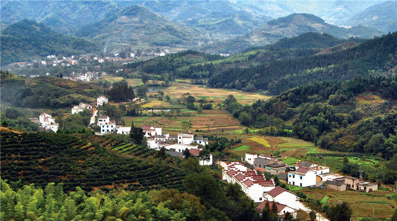 安徽省庐江县大力推进美丽乡村建设,随着对农村人居环境的整治提升,村