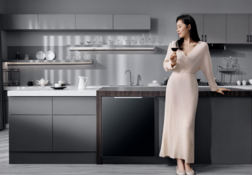 　　林内乐净系列洗碗机 | 型号：WQD13-M5WB