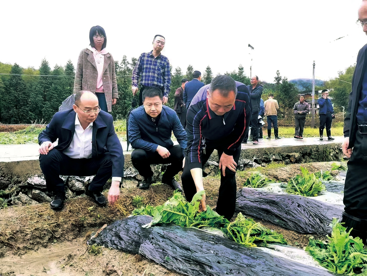 人保财险宁化支公司工作人员陪同三明市宁化县县长吴茂生