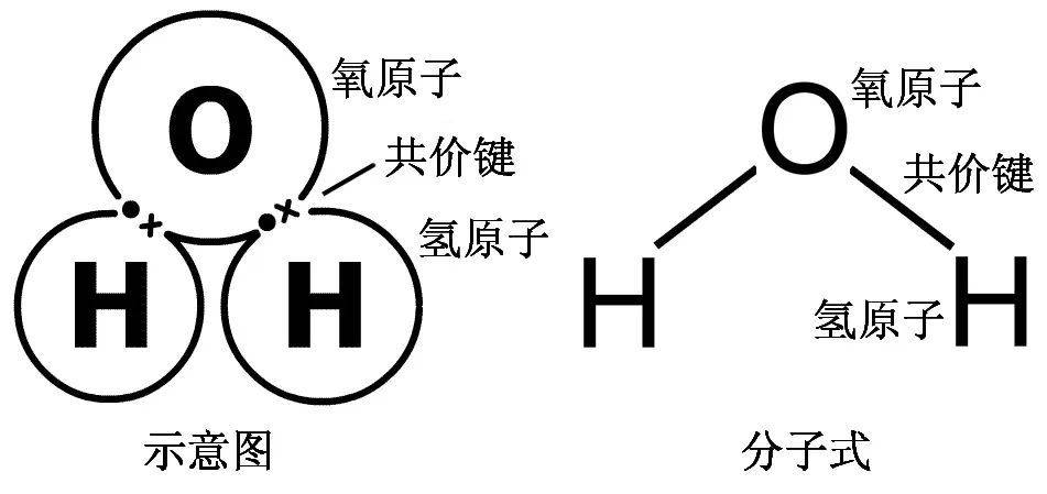 氧原子和氢原子通过共价键结合形成水分子.图源:科普中国