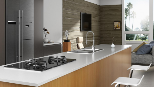 　　林内星厨系列美食灶 | 型号：RB-2QLGH