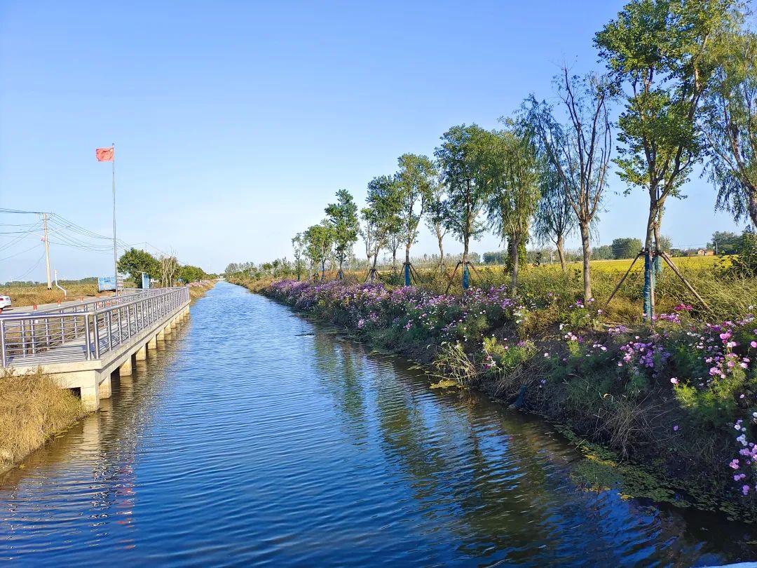 金湖县吕良镇三园中心河&nbsp;&nbsp;图片由受访者提供
