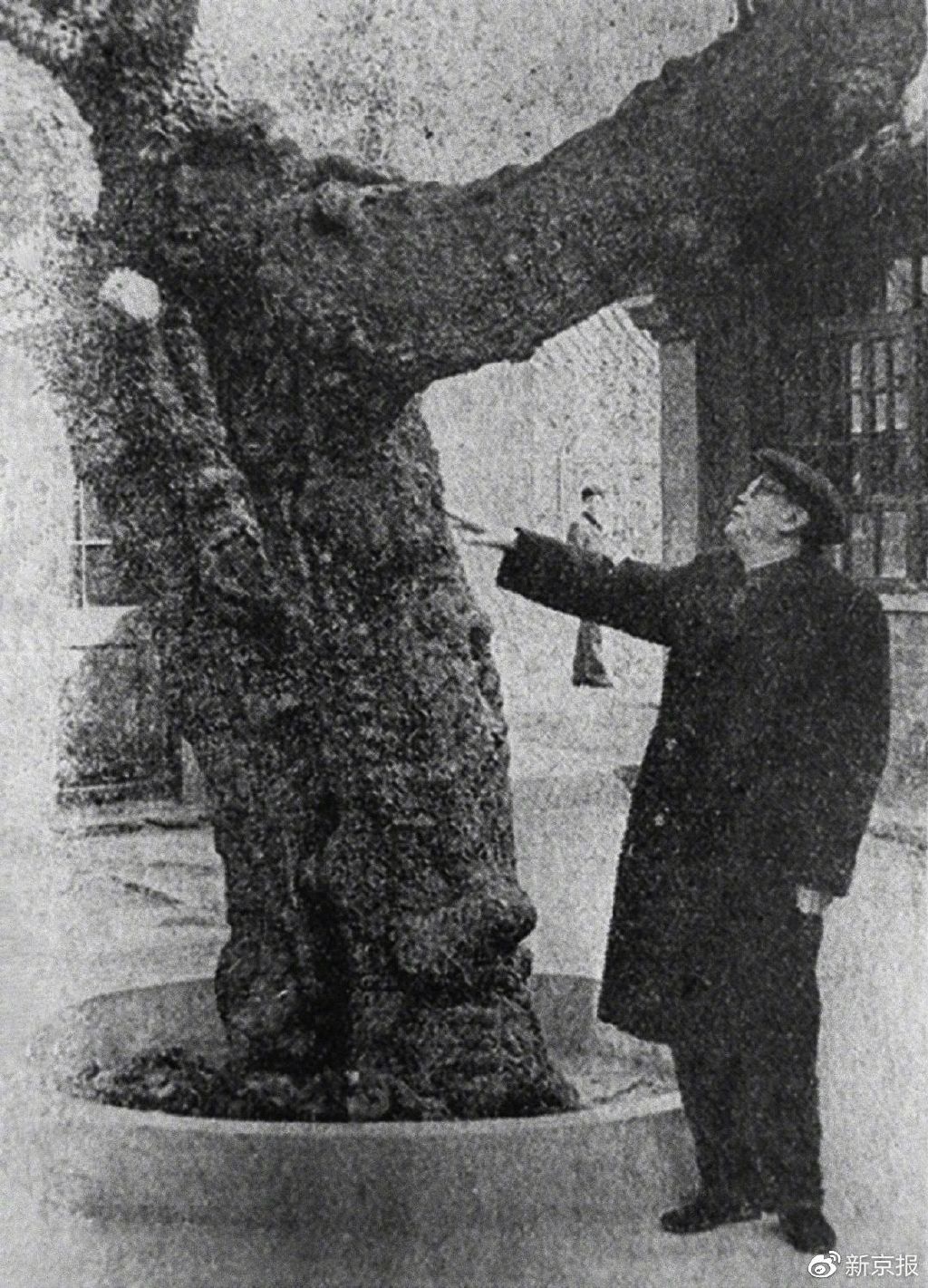 受访者供图李裕智回到了绥远地区开展革命工作, 先后任中共包头工委