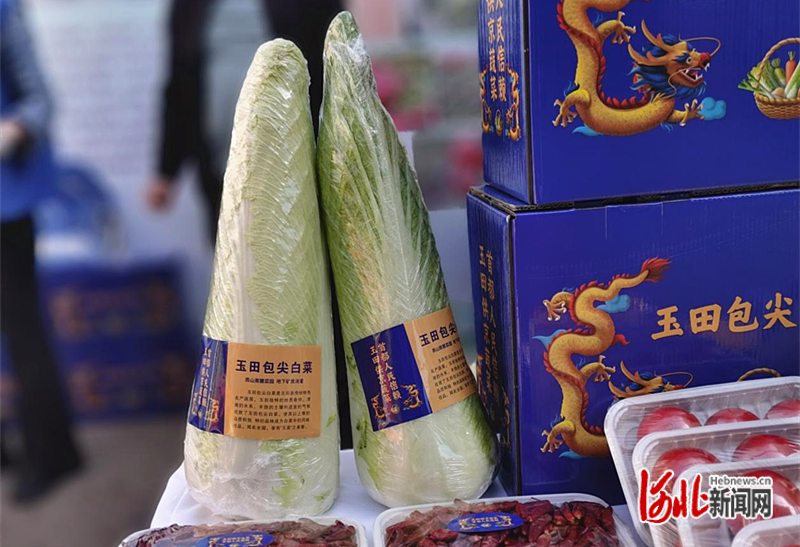 抢滩首都市场河北品牌农产品北京六进行动暨环京蔬菜共建基地活动在京