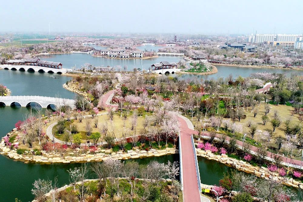 睢县凤栖湖.记者 黄业波 摄