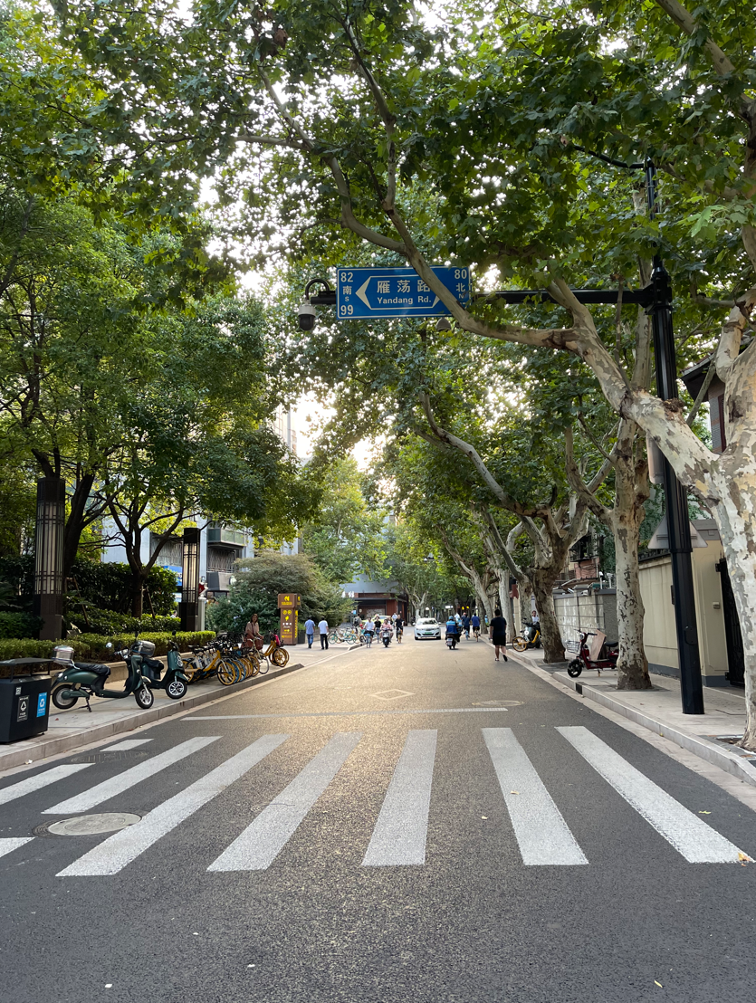 南昌路整治后&nbsp; 上海市住建委供图