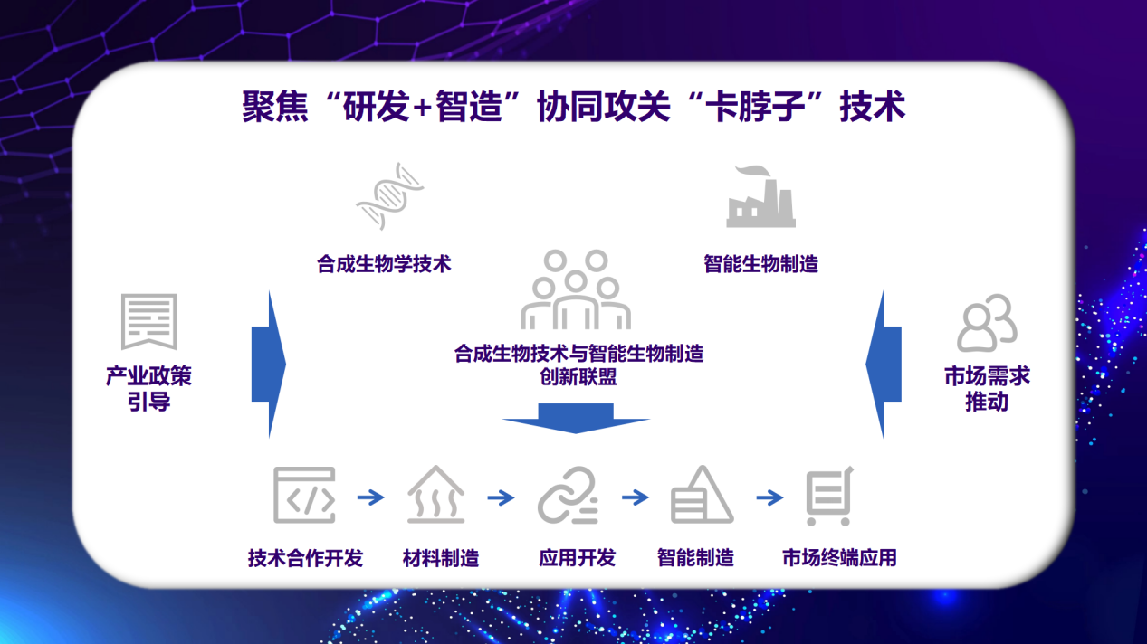酶催化工艺开发：推动绿色化学时代的到来