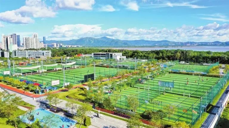 深圳这个区,有个“空中体育中心”→_手机新浪网