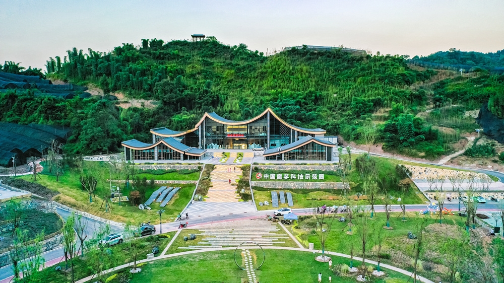 沐川县魔芋产业园 沐川县融媒体中心供图