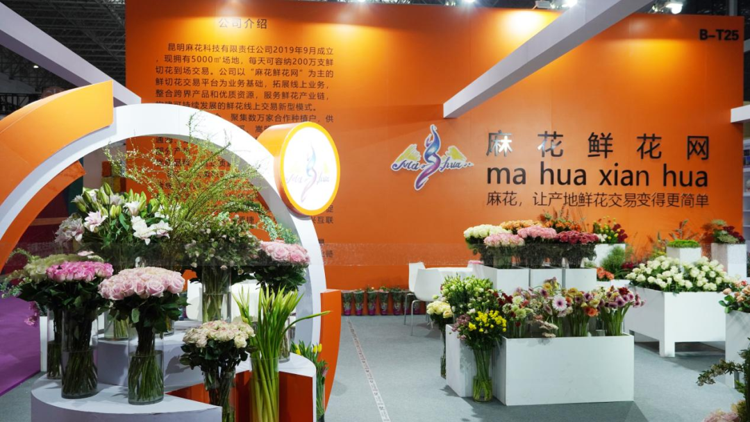 一株绿植5.8万元，一片叶子6000元，这些植物美且“豪”（一株绿色植物）