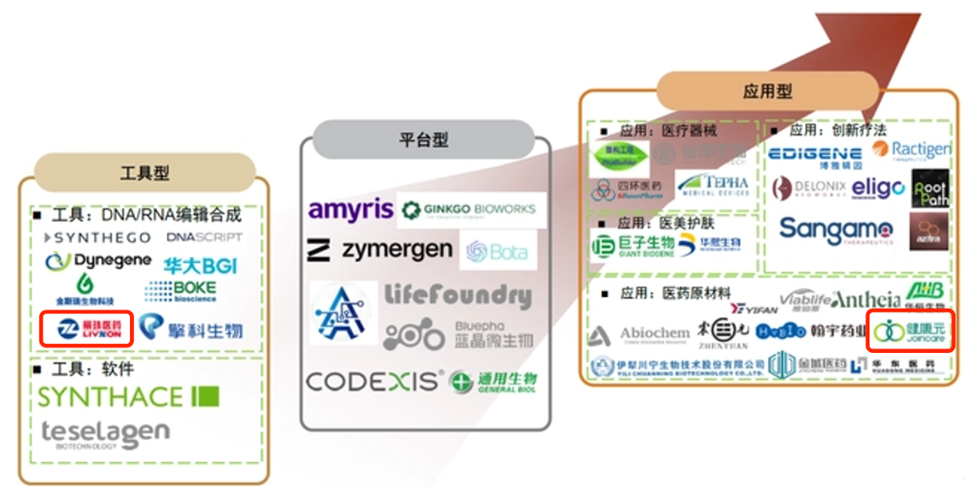 　　图片来源：中金公司研报