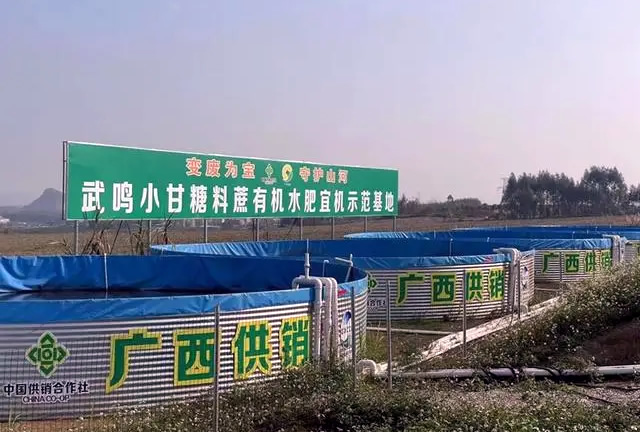 广西南宁市武鸣小甘糖料蔗基地生态宜机水肥化一体化示范建设项目。广西供销社供图