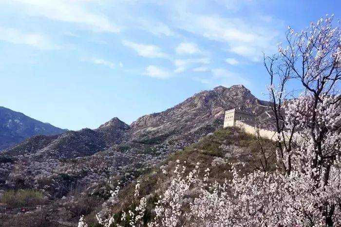 　　(来源：新视线)