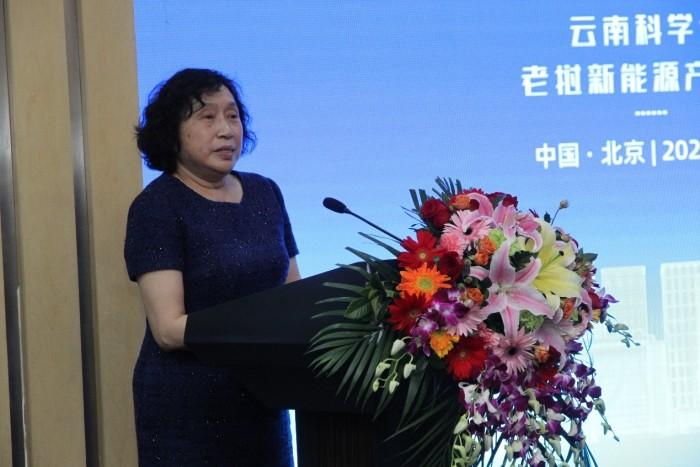 　　(图6980南南国际贸易促进中心耿弘主席致辞)