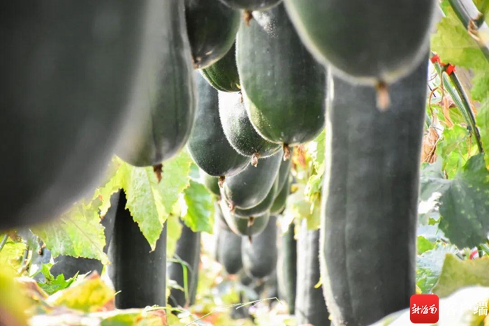f99d-0c154f7403ff05a001d9d36d2e3aff0b.jpg