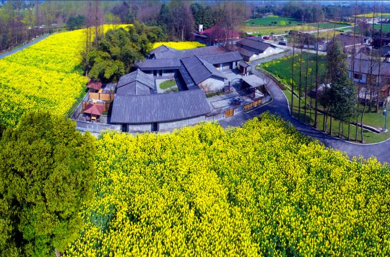 宜业宜居和美乡村怎么建？成都“十大行动”计划来了_手机新浪网