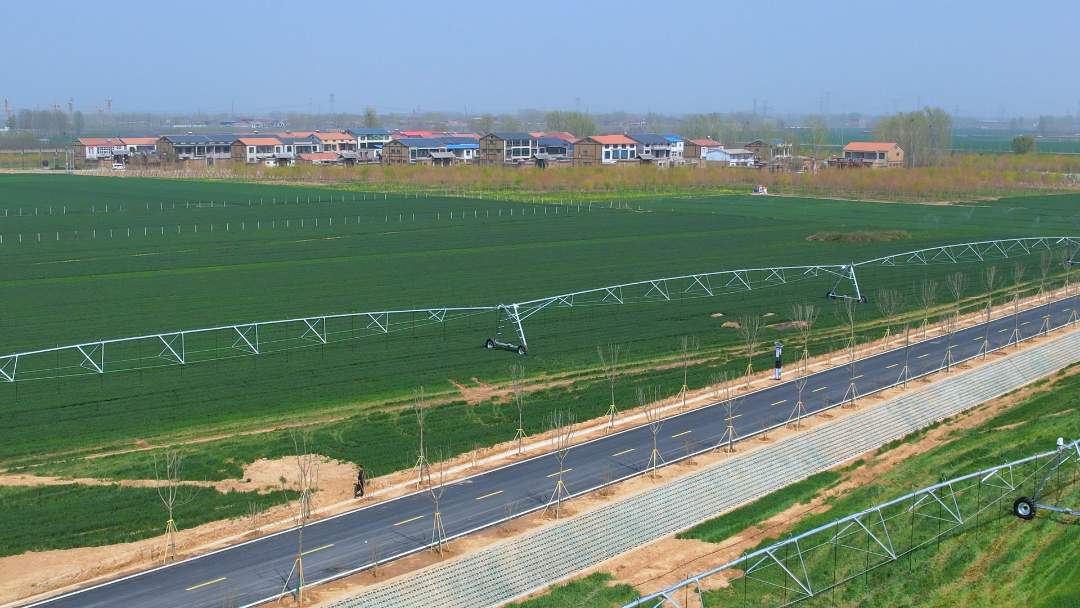 平原示范区高标准农田.王萌摄