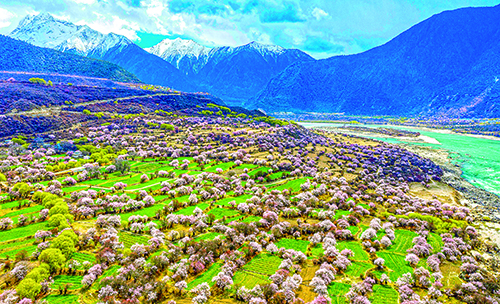 这是3月26日拍摄的林芝米林县的桃花景观.新华社记者姜帆摄