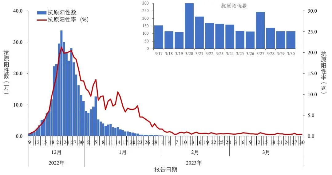 图1-2 全国报告人群新型冠状病毒抗原检测阳性数及阳性率变化趋势（数据来源于31个省（区、市）及新疆生产建设兵团报告）