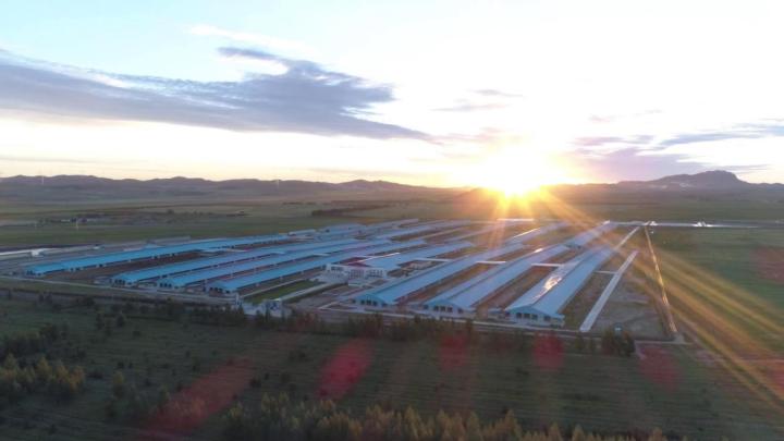 　　图说：简爱父爱牧场自然条件优渥