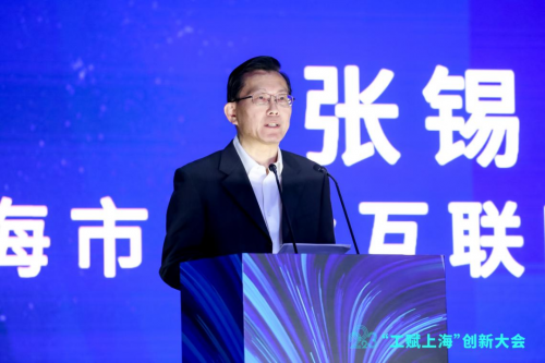 　　上海市工业互联网协会会长张锡平发言