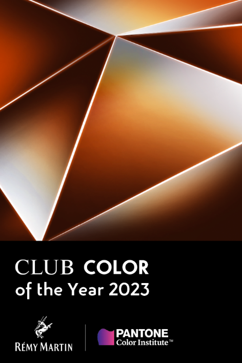 　　图12：人头马携手彩通色彩研究所，推出首个复合色彩“2023 年度CLUB代表色”