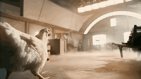 肉肉的白羽鸡 ↑↑↑