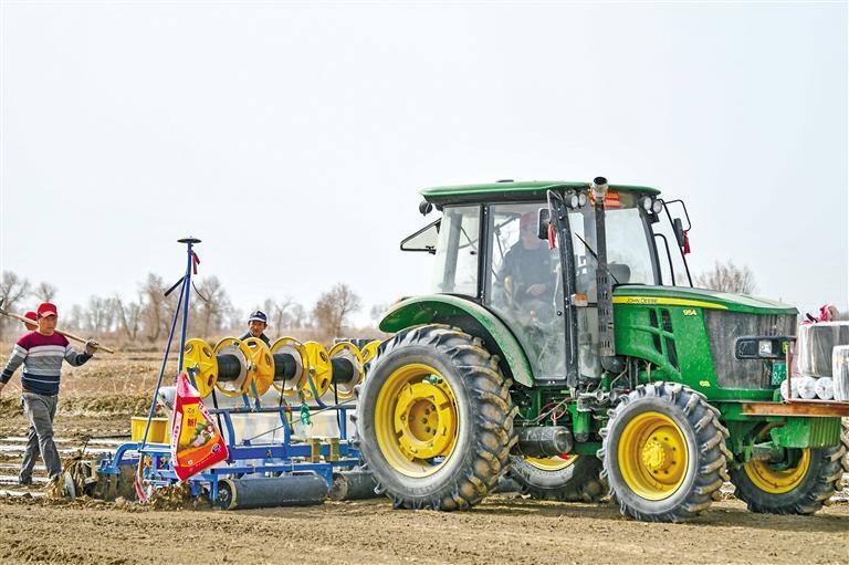 棉花主产区拉开春播序幕|棉花_新浪财经_新浪网