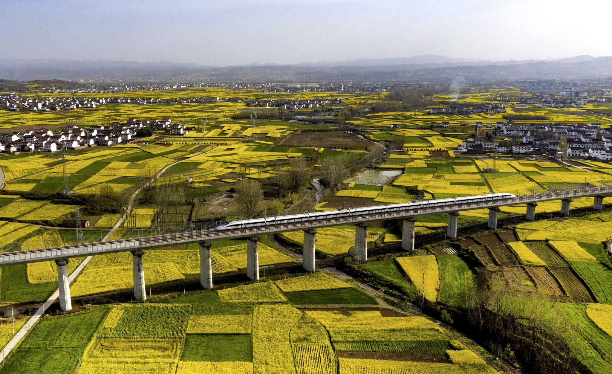 3月14日,一列动车从陕西省汉中市洋县油菜花海中驶过(无人机照片).