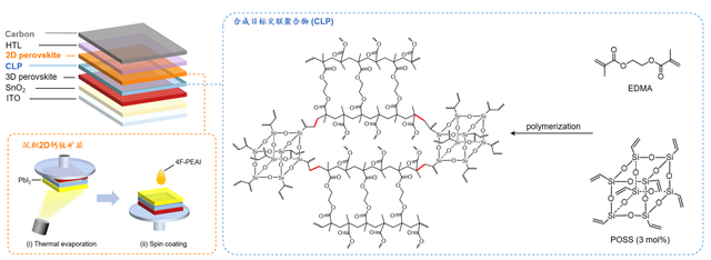 图2. 交联聚合物（CLP）的合成及器件结构