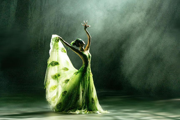 孔雀公主杨丽萍携舞剧孔雀亮相哈尔滨大剧院