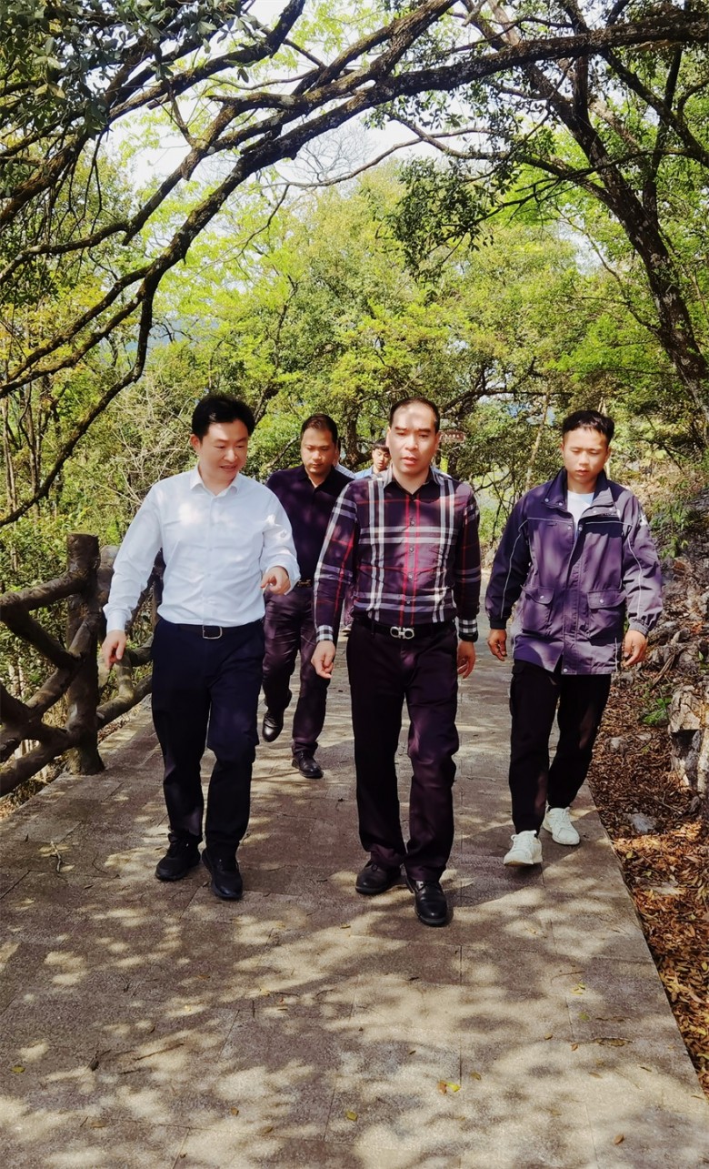 在乐业县委书记冯艺等领导的陪同下,考察团先后深入到大石围,广西雅林
