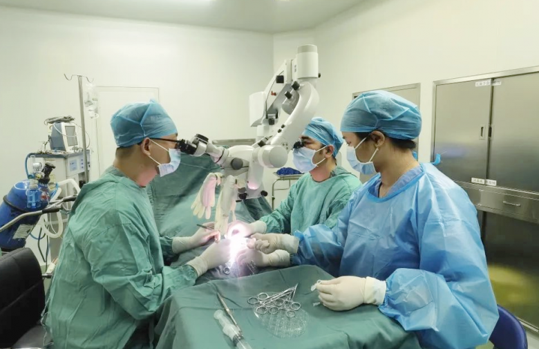 　　睾丸显微镜下取精手术