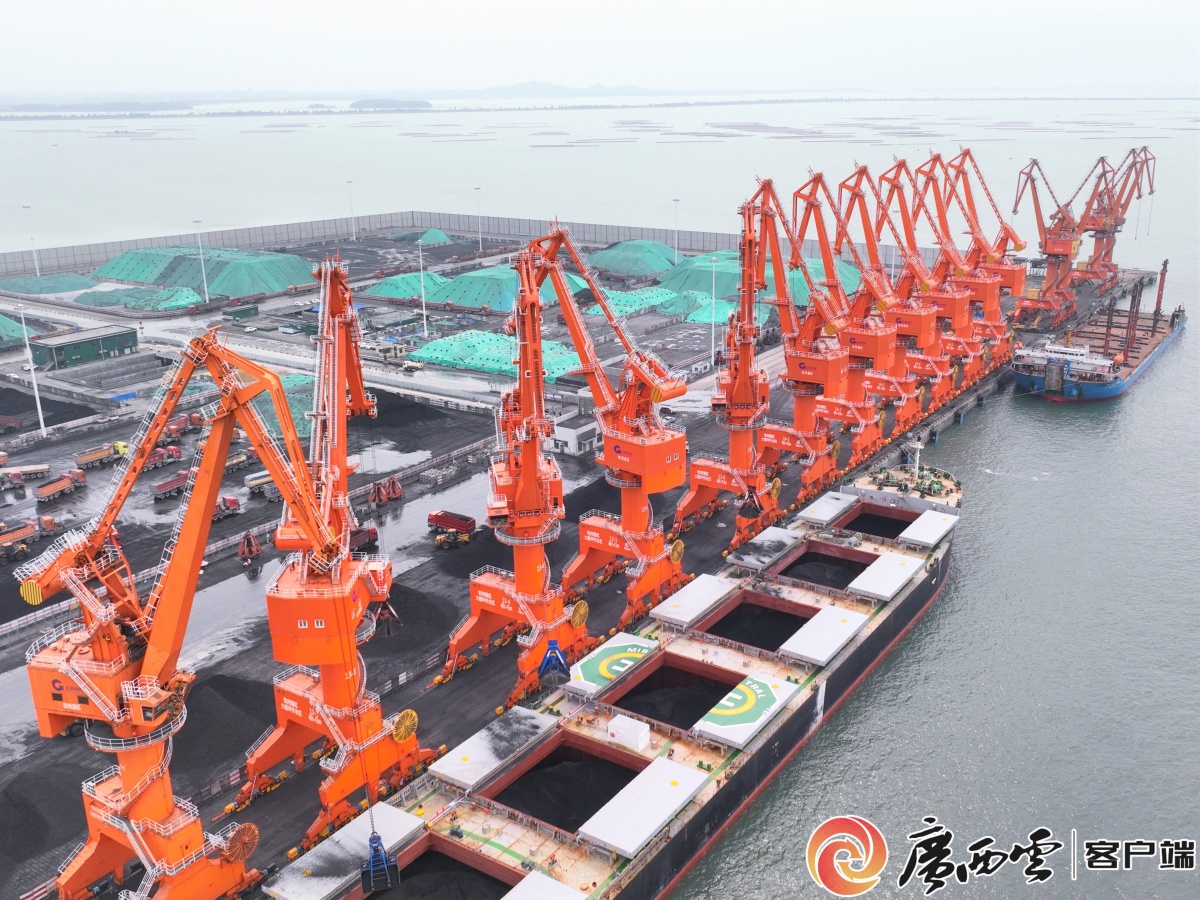 钦州港大榄坪南作业区12号,13号泊位10台门机到港.北部湾港集团供图