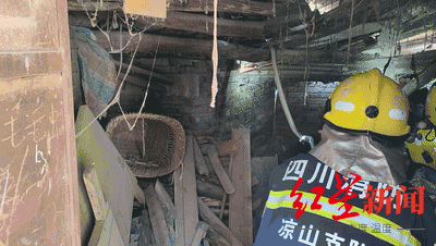 ▲捕蛇 消防供图