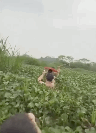 当事人表示，他们的太公位于一座小岛的中央，四周都是水，必须下水才能抵达，搞了四五十分钟。