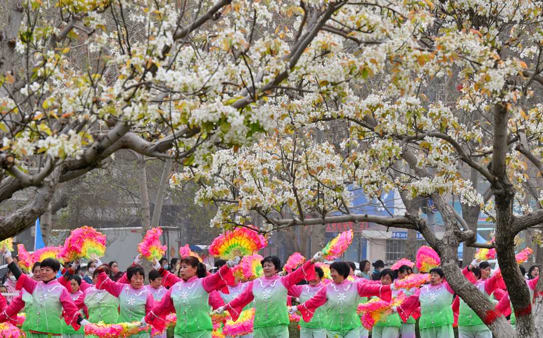 当日,新疆·库尔勒2021第七届香梨文化旅游节暨"梨花节"在库尔勒市各