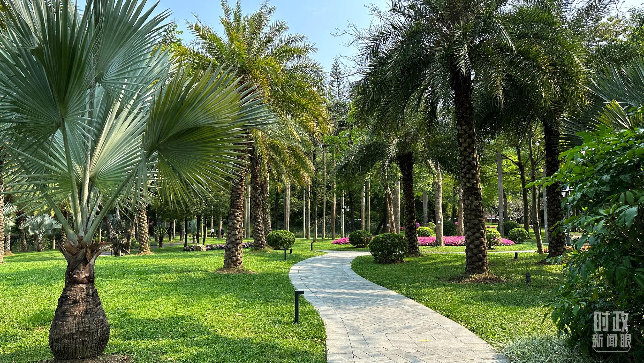 △松园春景。（总台央视记者赵化拍摄）