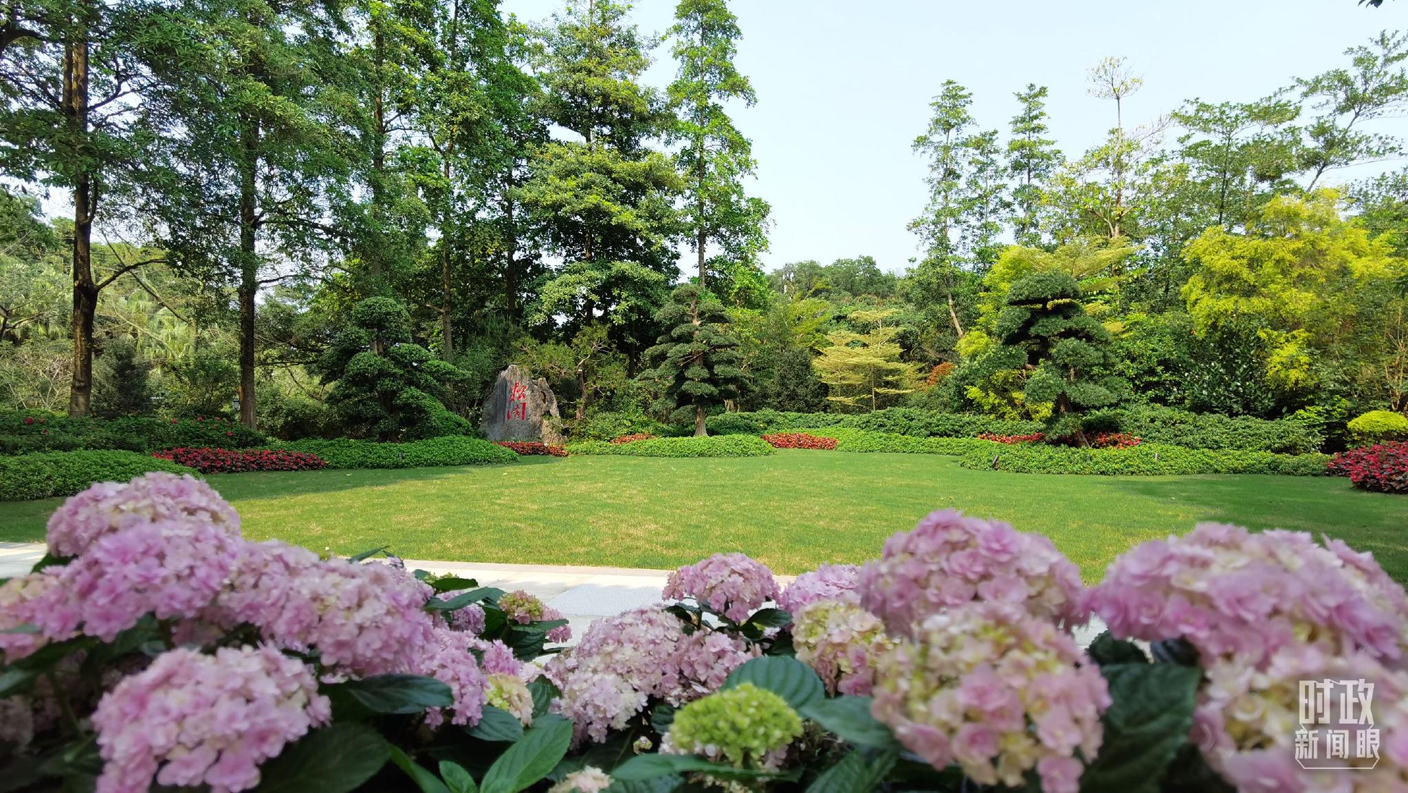 △4月7日，中法两国元首非正式会晤在广州松园举行。（总台央视记者郭鸿拍摄）